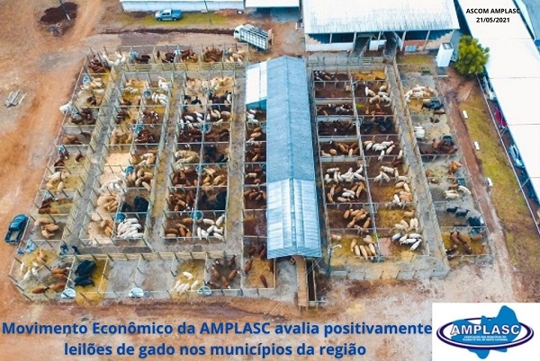 Read more about the article Movimento Econômico da AMPLASC avalia positivamente leilões de gado nos municípios da região