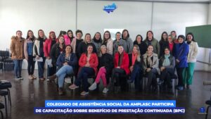 Read more about the article Colegiado de Assistência Social da AMPLASC participa de capacitação sobre Benefício de Prestação Continuada (BPC)