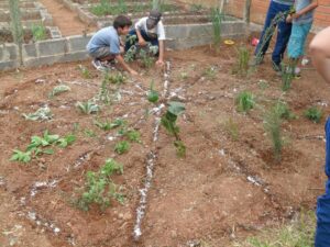 Read more about the article Alunos do GEM Horizonte Núcleo I desenvolvem projeto sobre plantas medicinais