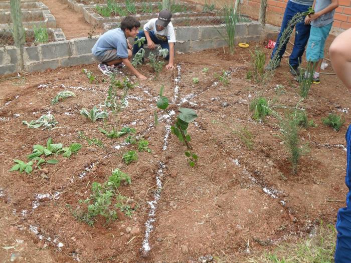 You are currently viewing Alunos do GEM Horizonte Núcleo I desenvolvem projeto sobre plantas medicinais