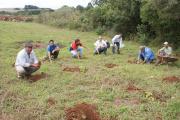 You are currently viewing Secretaria de Agricultura de Campos Novos realiza plantio de árvores