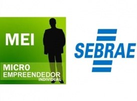 Read more about the article Sebrae