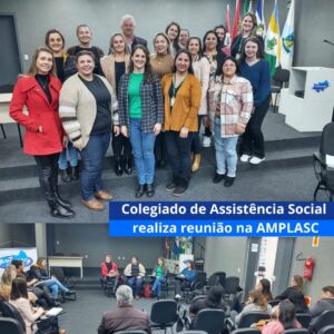 Read more about the article Colegiado de Assistência Social realiza reunião na AMPLASC