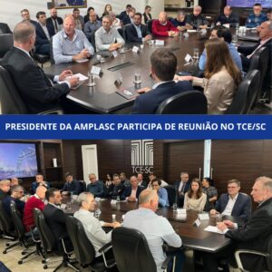 Read more about the article Presidente da AMPLASC participa de reunião no TCE/SC