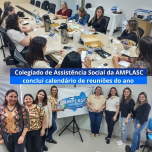 Read more about the article Colegiado de Assistência Social da AMPLASC conclui calendário de reuniões do ano